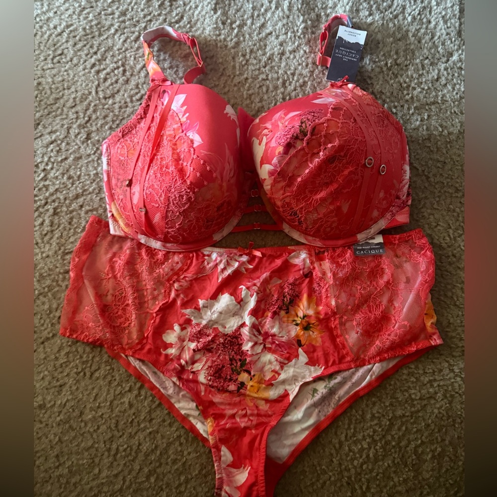 Cacique Boost Balconette 42F and Mid Waist Cheeky 22/24